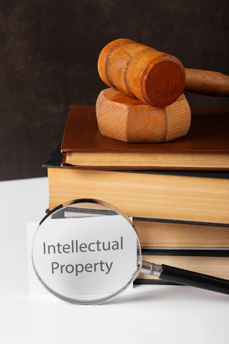 Intellectual Property Protection Across Borders 